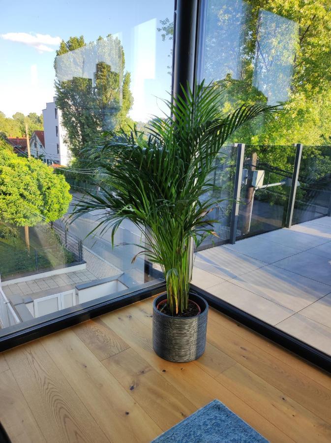 Luxurioeses Penthouse Mit Blick Auf Die Uno-City Und Dem Kaiserwasser. 3Schlafzimmer, 2 Baeder, Privat Lift Ins Apartment ウィーン エクステリア 写真