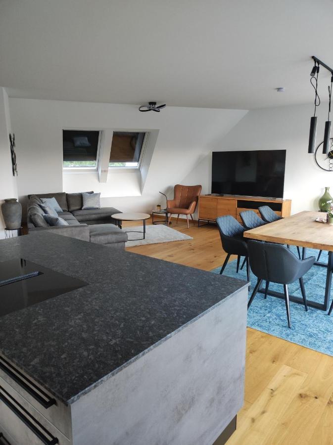 Luxurioeses Penthouse Mit Blick Auf Die Uno-City Und Dem Kaiserwasser. 3Schlafzimmer, 2 Baeder, Privat Lift Ins Apartment ウィーン エクステリア 写真