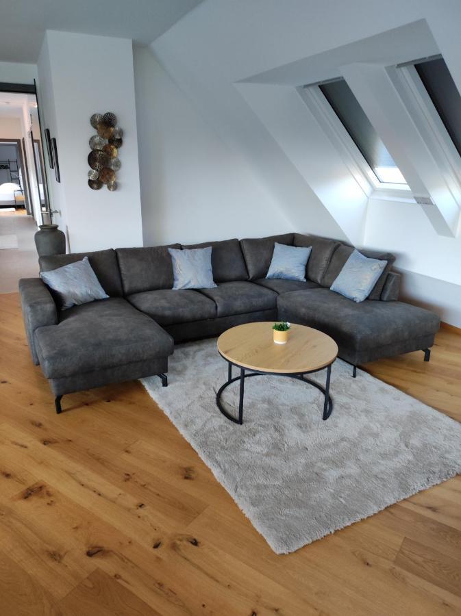 Luxurioeses Penthouse Mit Blick Auf Die Uno-City Und Dem Kaiserwasser. 3Schlafzimmer, 2 Baeder, Privat Lift Ins Apartment ウィーン エクステリア 写真